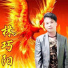江湖路 - 林巧阳