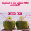 Sunny Day (Summer version) - Yurierre&The future Jazz Orchestra