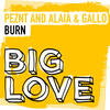 Burn (Original Mix) - Peznt&Alaia&Gallo