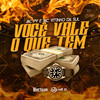Você Vale o Que Tem - Vitinho Da Sul&MC PV&DJ DuBom