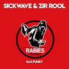 Turning Point - Sickwave&Zir Rool