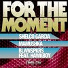 For The Moment - Shelco Garcia&Mamushka&BLWNSPKRS&Hawkboy