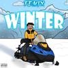 Winter - TEMIX