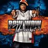 Let's Get Down (Extended Album Version) - Bow Wow&Birdman