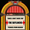 Pennies From Heaven - The Skyliners