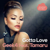 Gotta Love (Extended Mix) - Geek4&Tamaru