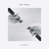 The Rain - Toby Tobias