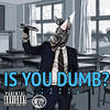 Is You Dumb (Explicit) - Yung Gordon