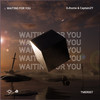 Waiting For You (Instrument Mix) - Alliance of Explorers&DJhome&CaptainZY&Time Records