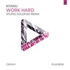 Work Hard (Stupid Goldfish Remix) - KYANU