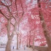 梨花树下 - 陆子昂