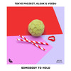 Somebody to Hold - Tokyo Project&Kleak & Veebu