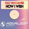 How I Wish (Dub Edit) - Ole Van Dansk