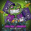 Optimized - Spectree&Chronica
