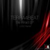 Boogeyman (Original Mix) - Terra4beat
