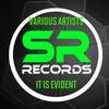 Blink(Kuzko Remix) (Remix) - Staffy&Minimalistic