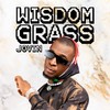 Wisdom Grass - Jovin