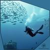 Somewhere Underwater - Roby Koenigs&J Fletch&The Retune Project