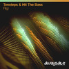 Rigi (Original Mix) - Tensteps&Hit The Bass