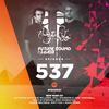 Never Look Back(FSOE 537) (Original Mix) - Frank Waanders