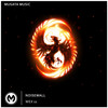 Wex 11 - Noisewall