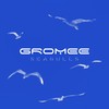 Seagulls (Original Mix) - Gromee