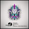 Influence (Original Mix) - Calypse