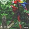 Pause, pt. 2 (Explicit) - TheLove