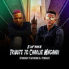 Tribute to Magandi(feat. Terrace) - Stingray&Terrace