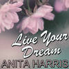 City Lights - Anita Harris