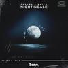 Nightingale - Panuma&Kayla&Lennart Rau&Kayla Loreen Meyer