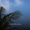 In The Pines - The Escos