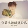 你是吹进眼里的风 (cover: 黄静美|谌宥) - 张天宇