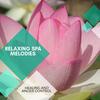 Early Delight (Original Mix) - Maha Rudransh