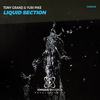 Liquid Section (Original Mix) - Tony Grand&Yuri Pike