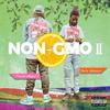 Plant Somethin' (Explicit) - Travis Shypell&Dolo Shakur