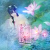 采莲（竹笛演奏用伴奏） - 唐丹岚