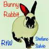 Bunny Rabbit (Radio Edit) - RtW&Stefano Salvio