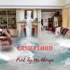 Cash Flood - Mr Aborga