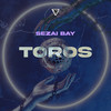 Toros - Sezai BAY