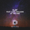 At the End (Dub Mix Edit) - ELSP