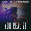 Jasper Hold (Osmotic Jasper Mix) - Osmotic Friends