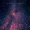 Evolution - Indivision