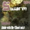 Abide With Me (Original Mix) - Amplitude