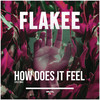 How Does It Feel (2022 Mix) - Flakee