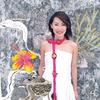 一枝花 - 彭羚