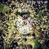 In The Town(feat. Sean Rose) - Feezy aka GK&Sean Rose