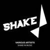 Natural Flow (Original Mix) - Alonso Bierg