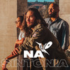 Na Sintonia - Trilo