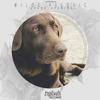 Closure (Original Mix) - Milos Pesovic